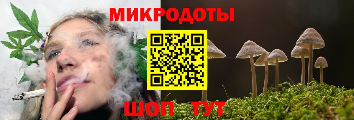 Галлюциногенные грибы Magic Shrooms Городец